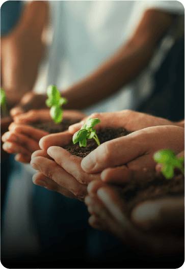 ATLAS Crisis Sustainability