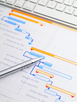 ATLAS Crisis project management